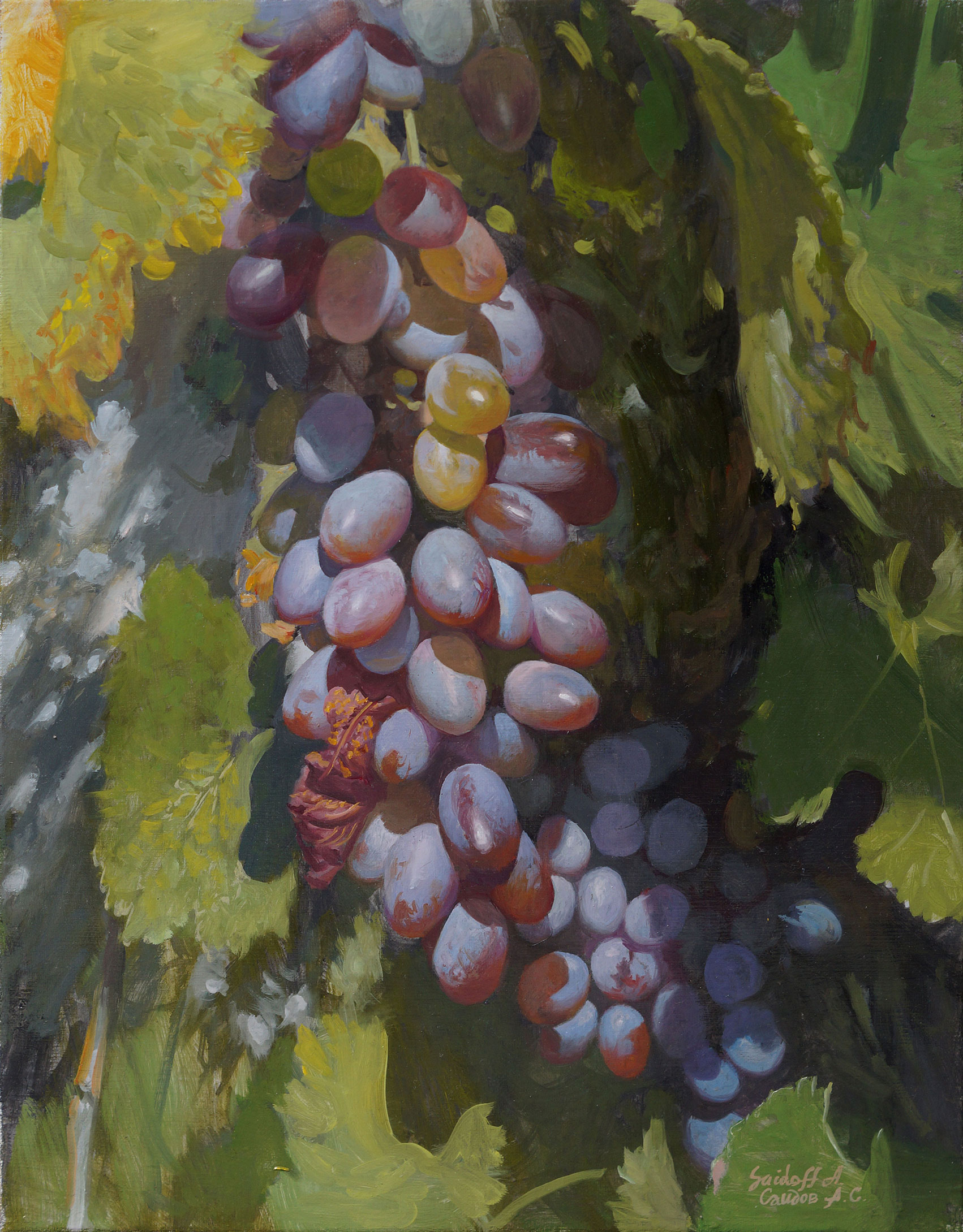 Синий виноград на солнце - 1, Александр Саидов, Купить картину Масло