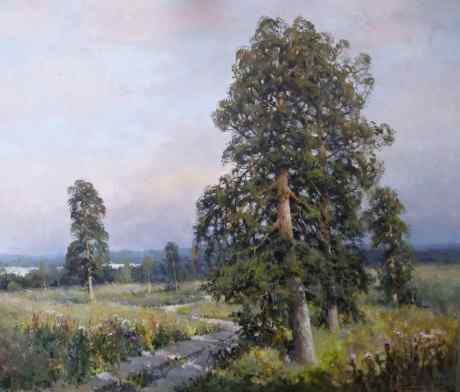 Старая сосна