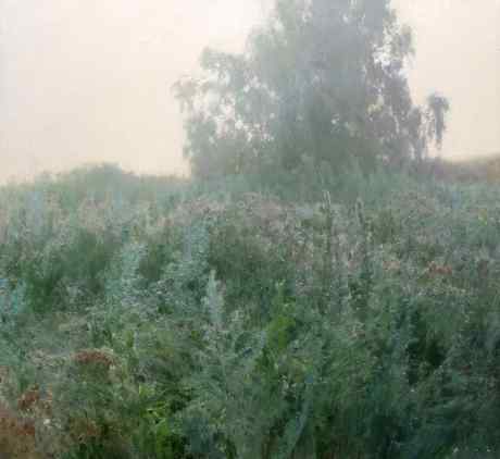 Утренний свет