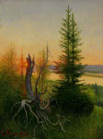 Полярная ночь