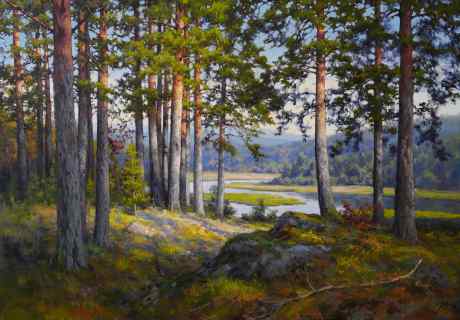 Сосновый бор на берегу реки Ак-Тай