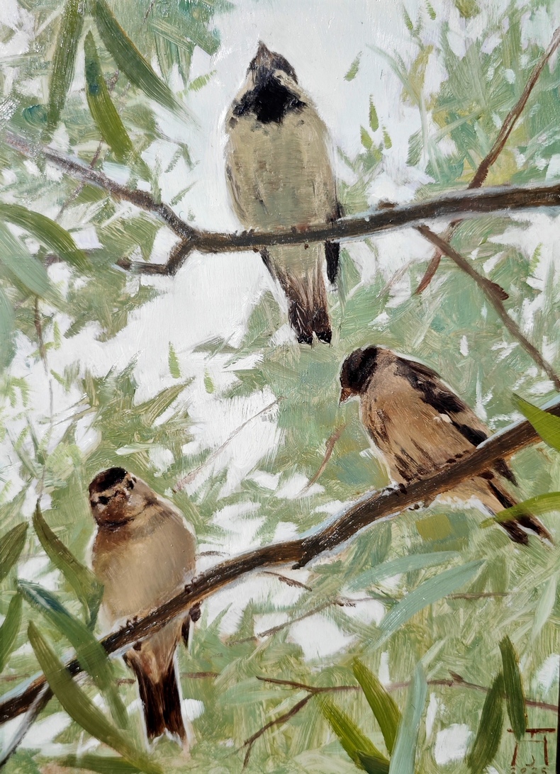 С высока - 1, Анастасия С. Тессина, Купить картину Масло