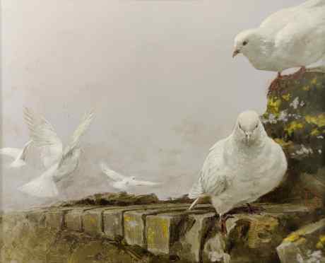 Испанские голубки