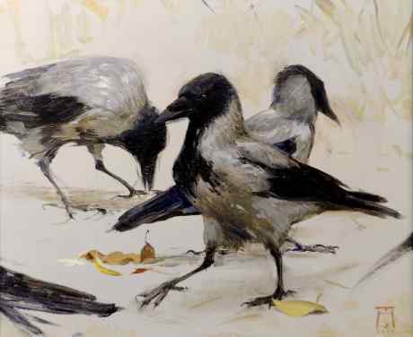 Поиски и происки. Вороны