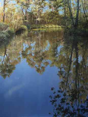 Октябрьское солнце в Тимирязевском