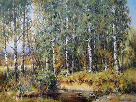 Березки
