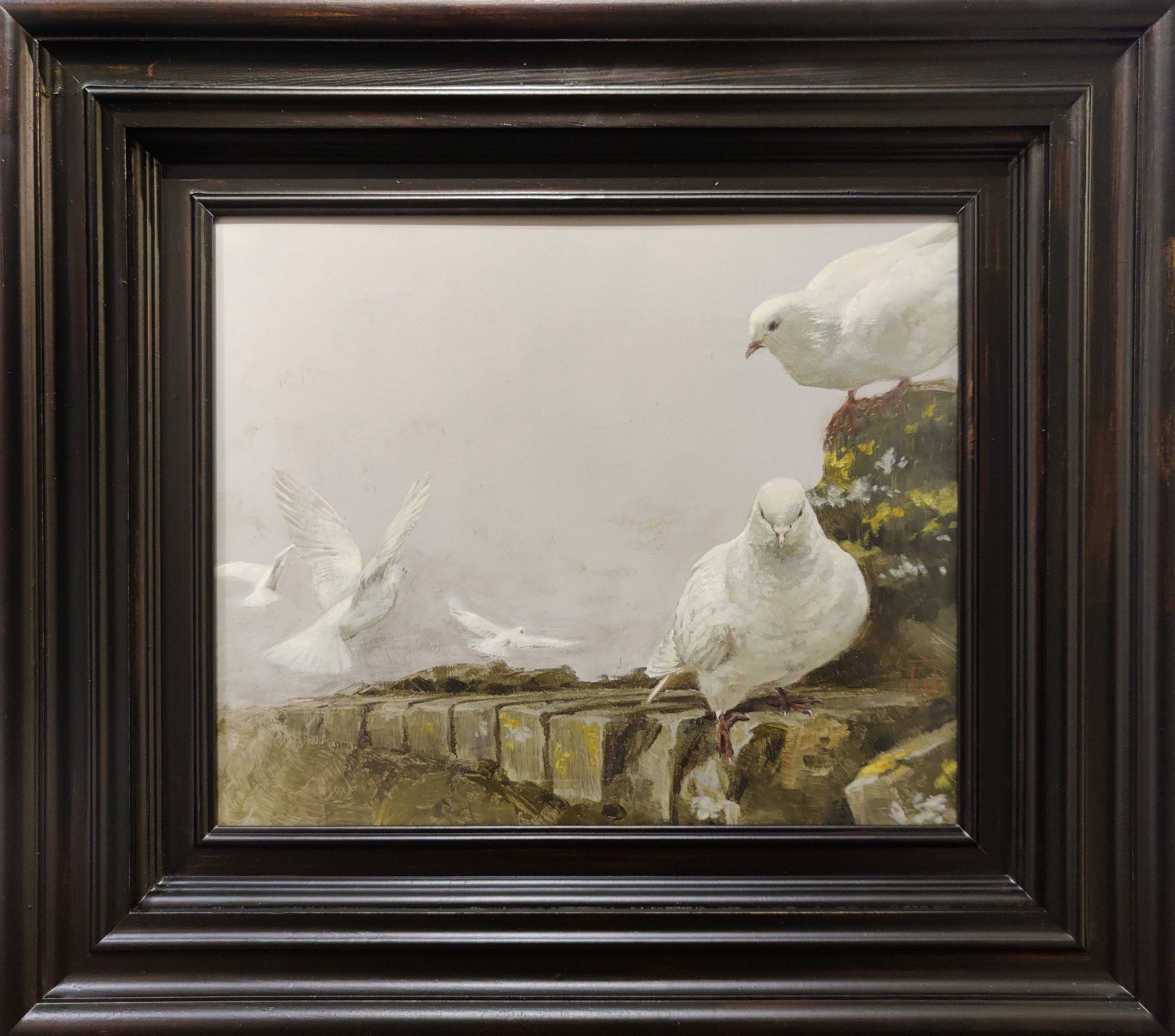 Испанские голубки - 2